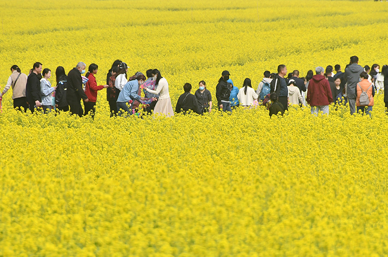 Domestic Trips by Rural Residents Surge 25% in First Three Quarters