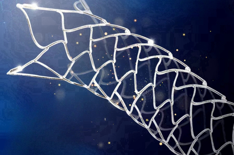 SinoMed Sinks After China Withholds Marketing Approval for New Brain Artery Stent