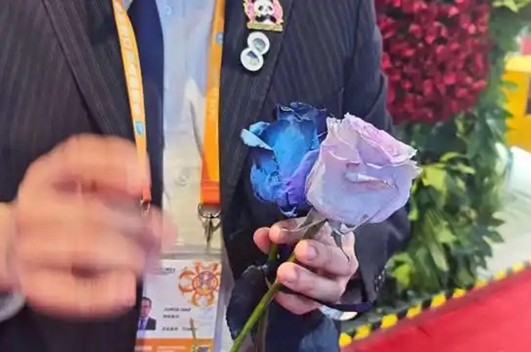 [CIIE] Latin American Fragrances and Flowers Draw Chinese Buyers at CIIE