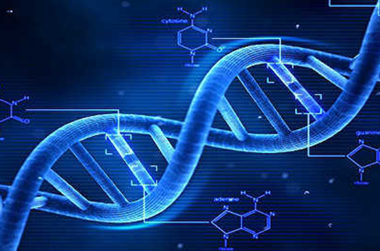 Shanghai Medical Team Finds Potential Thalassemia Cure Using Gene Therapy