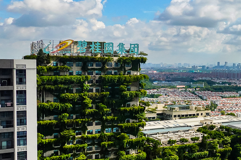 Chinese Builder Country Garden Gets Approval for Domestic, Offshore Debt Restructuring Amid Big Management Shakeup