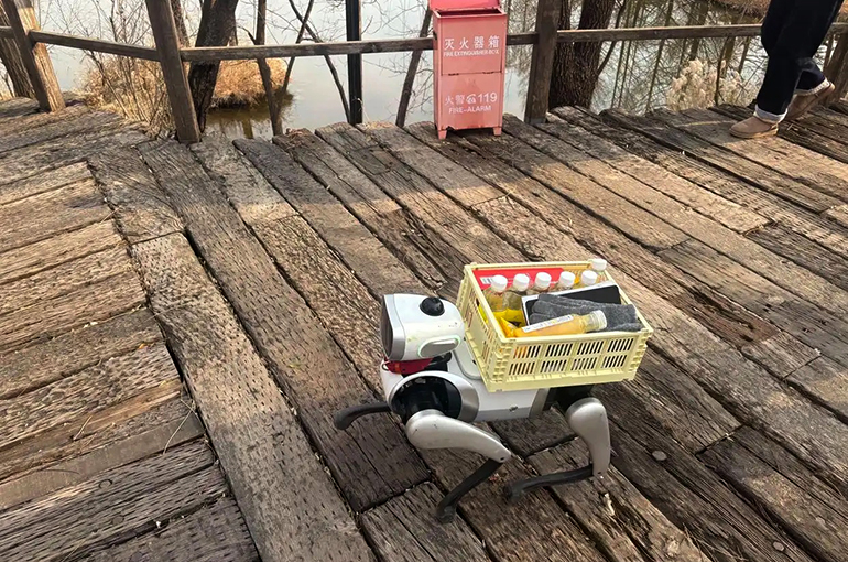 Affordable Robot Dogs Start Entering China's Consumer Market