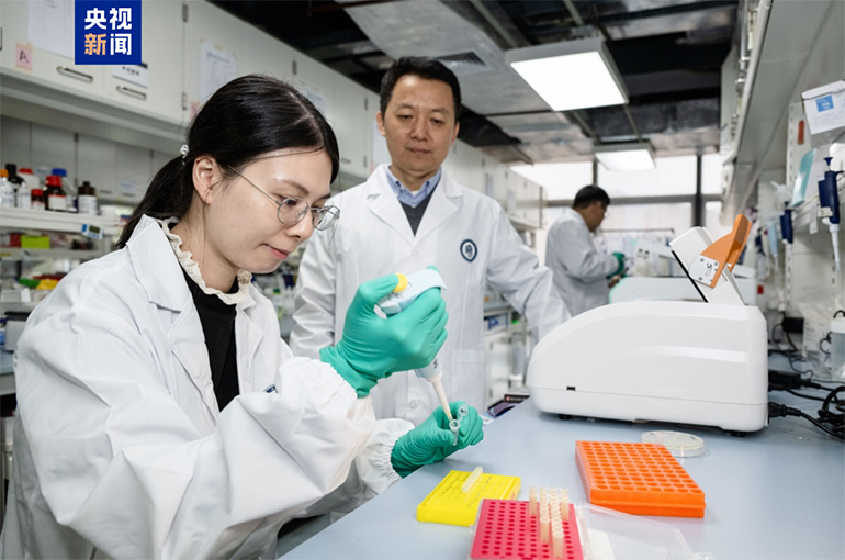 Chinese Scientists Make Key Advance in Using Gene Therapy