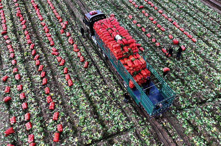 China Rolls Out New Measures to Raise Farmers’ Incomes