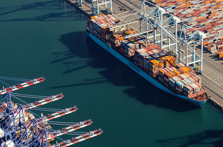 Limited Disruption Is Expected From Tariff Changes This Year, WTO Chief Economist Says