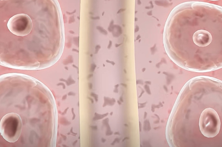 Chinese Scientists Develop Mitochondrial Capsule for Parkinson’s Treatment