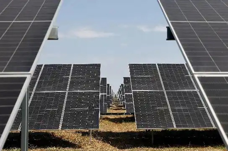 UAE Offers Chinese New Energy Firms Many Opportunities, Abu Dhabi Official Says