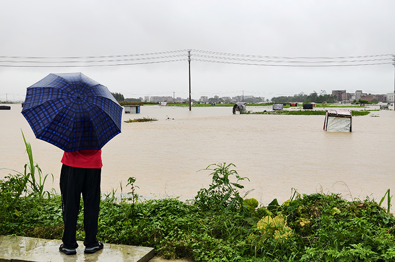 Flooding Besets World's Top Jasmine Flower Growing Region in Southern China