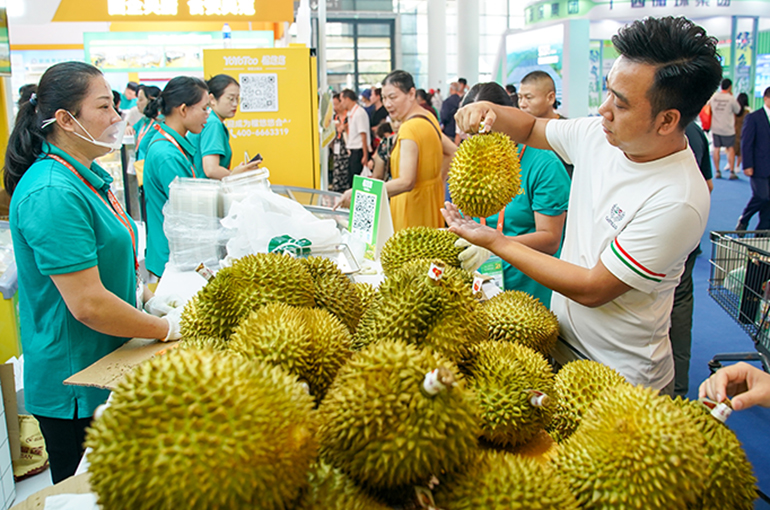 China Remains Largest Importer of Vietnamese Durian in First Half