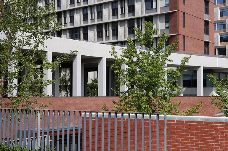 Chinese Universities Ramp Up Dorm Construction as Student Numbers Rise